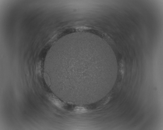 X0000081350519200701111458
