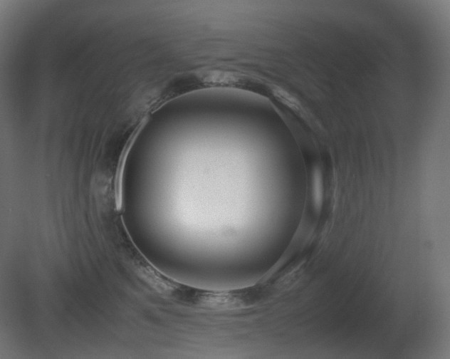 X0000081350521200701111458