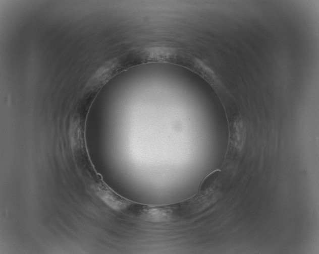 X0000081350522200701111458