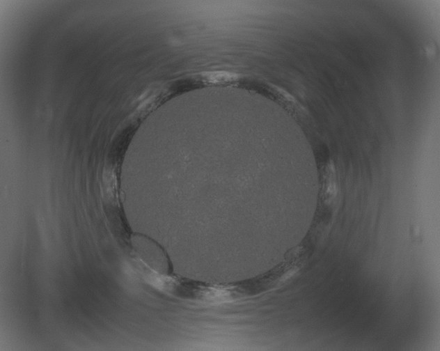 X0000081350523200701111458