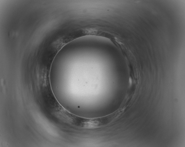 X0000081350525200701111458