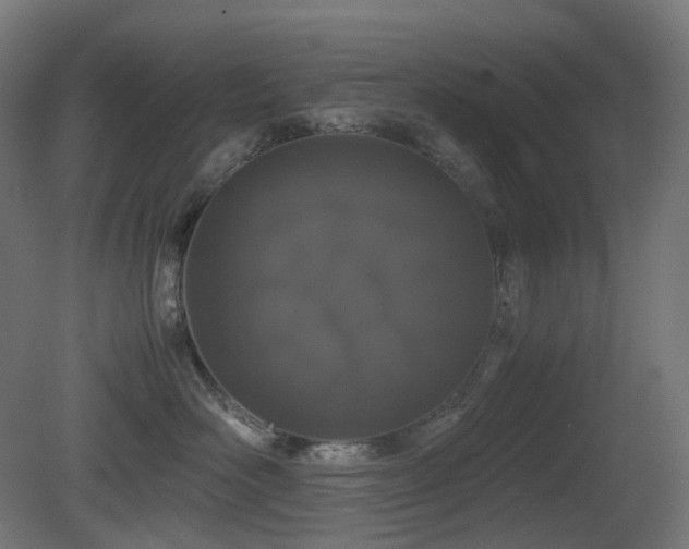 X0000081350526200701111458