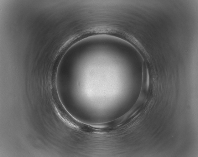 X0000081350530200701111457