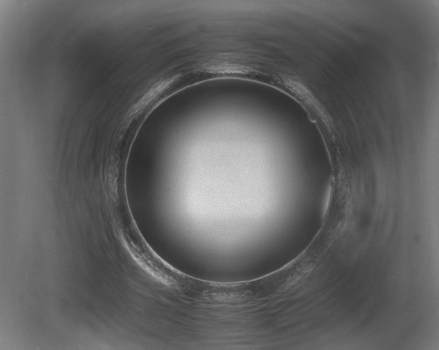 X0000081350533200701111457