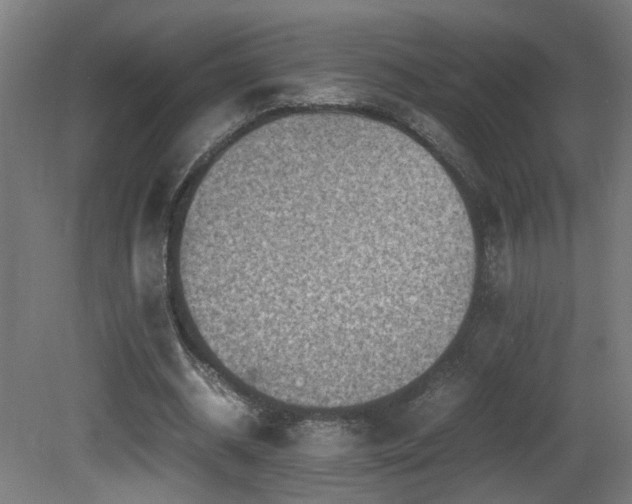 X0000081350534200701111457