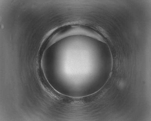 X0000081350536200701111457