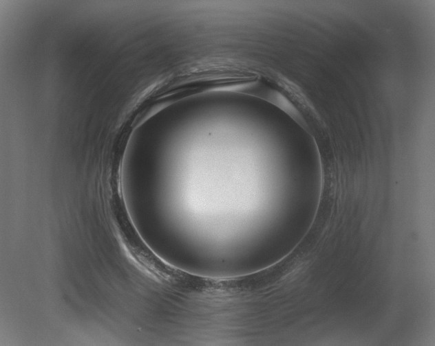 X0000081350538200701111457