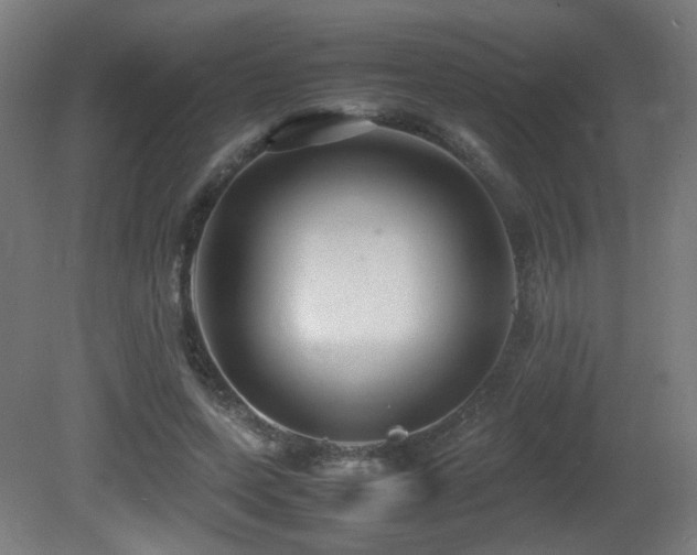X0000081350543200701111458