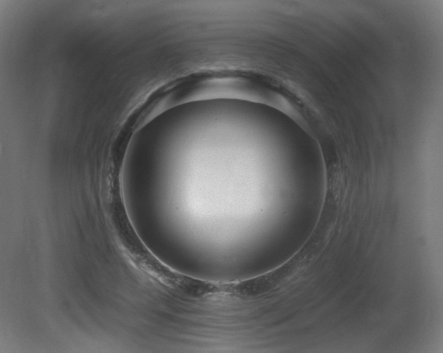 X0000081350544200701111458