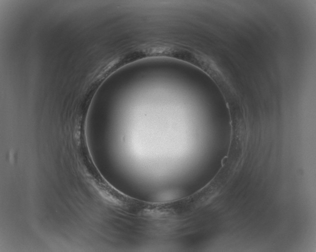 X0000081350545200701111458