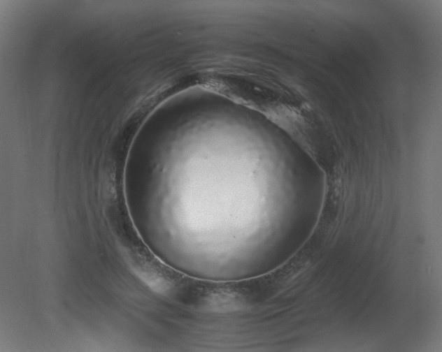 X0000081350547200701111458