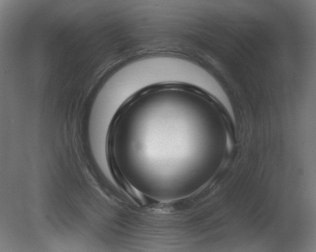 X0000081350548200701111458