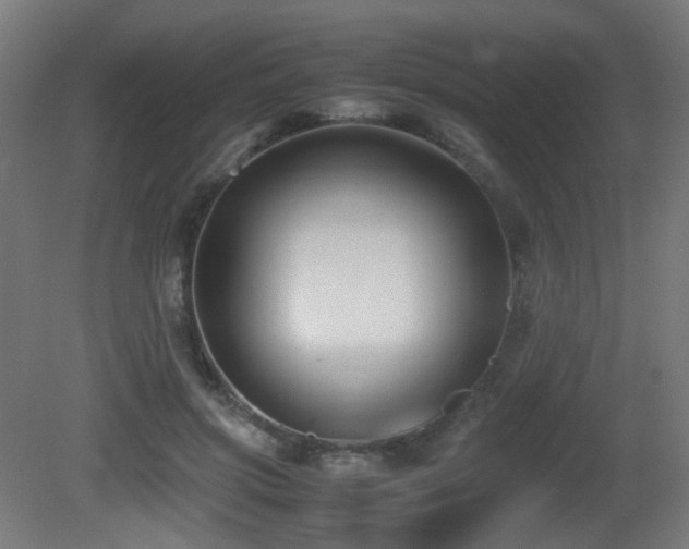 X0000081350549200701111458