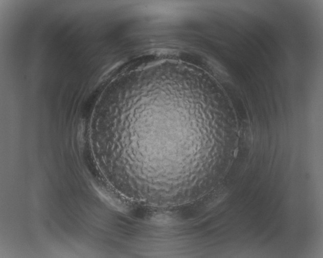 X0000081350550200701111458
