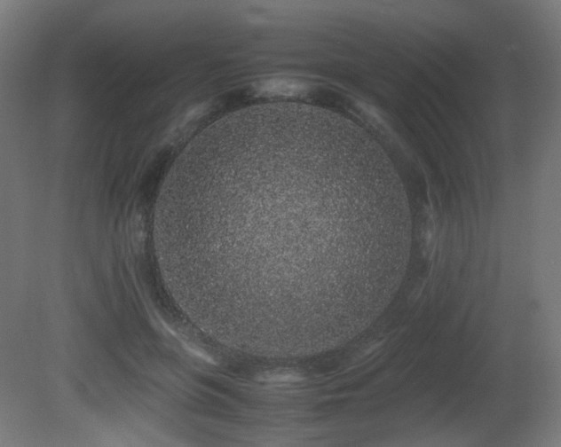 X0000081350551200701111458