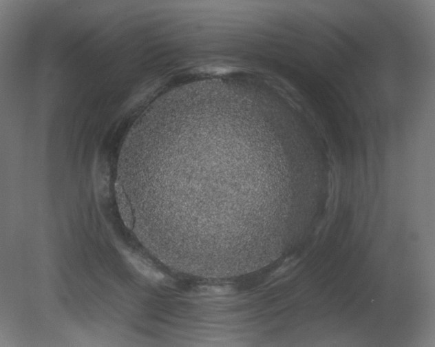 X0000081350552200701111458