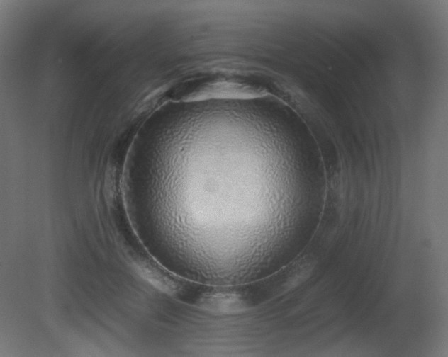 X0000081350554200701111458