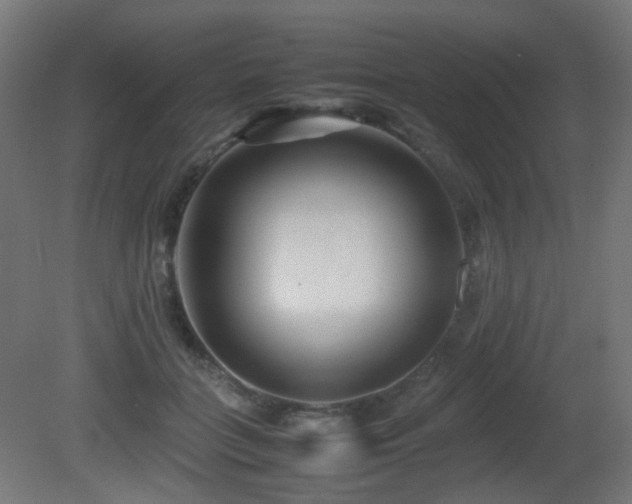 X0000081350555200701111458