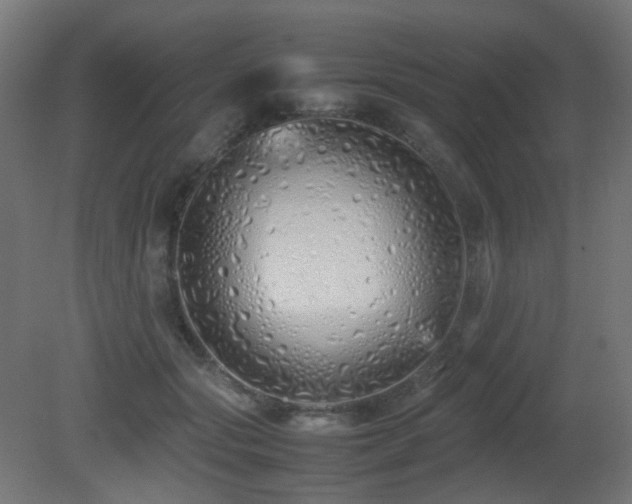 X0000081350557200701111458