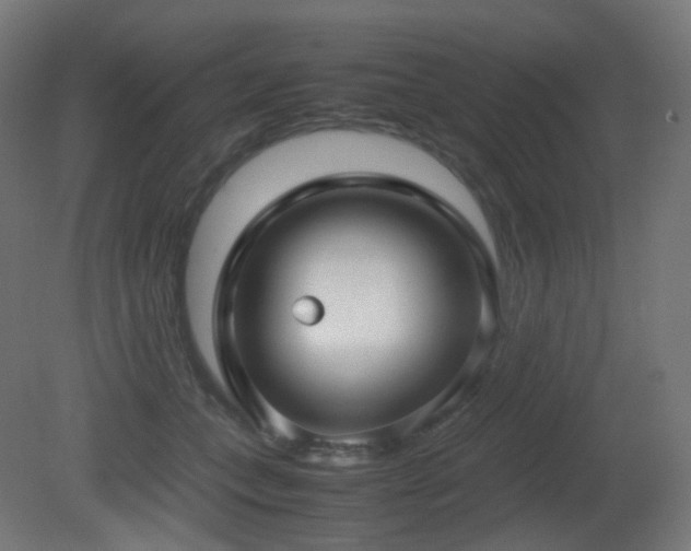 X0000081350559200701111458