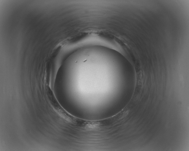 X0000081350560200701111458