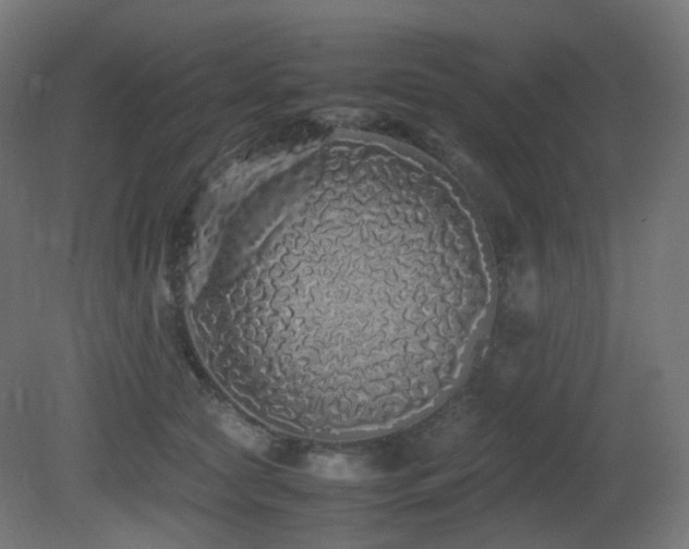 X0000081350561200701111458