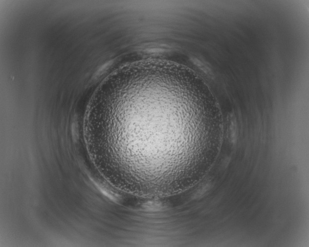 X0000081350562200701111458