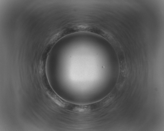 X0000081350563200701111458