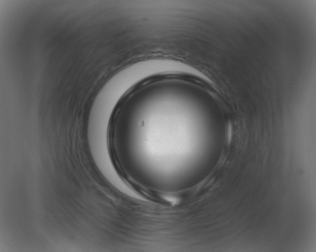 X0000081350564200701111458