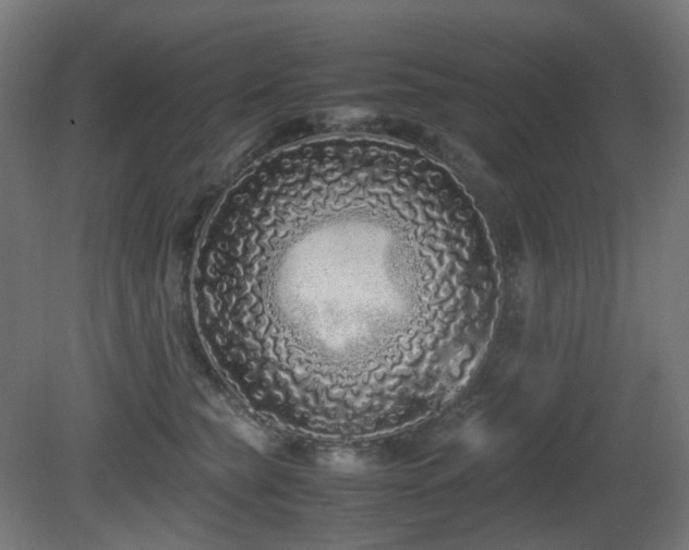 X0000081350565200701111458