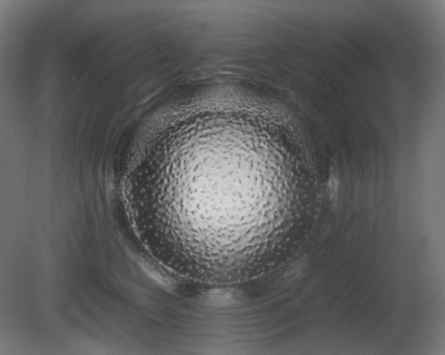 X0000081350566200701111458
