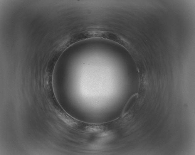 X0000081350567200701111458