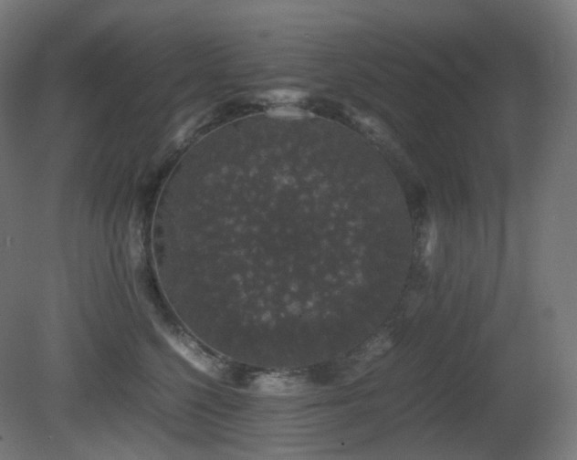 X0000081350568200701111458