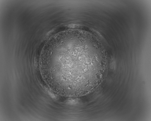 X0000081350569200701111458