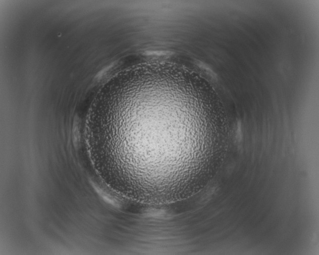 X0000081350570200701111458