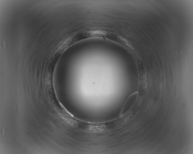 X0000081350571200701111458