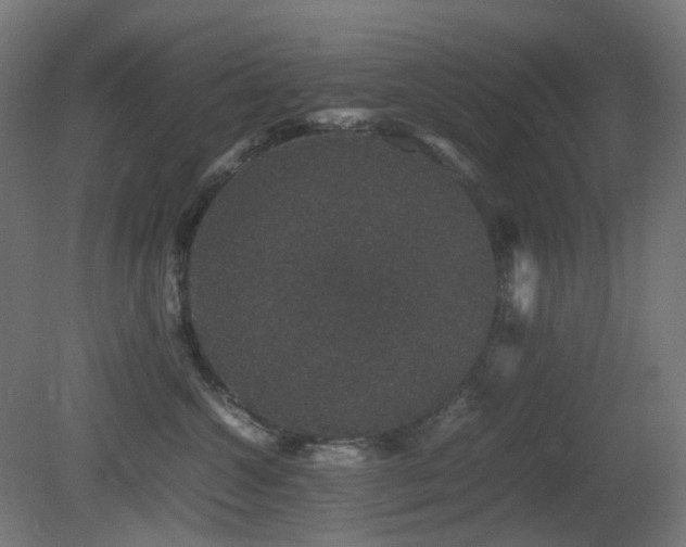 X0000081350572200701111458