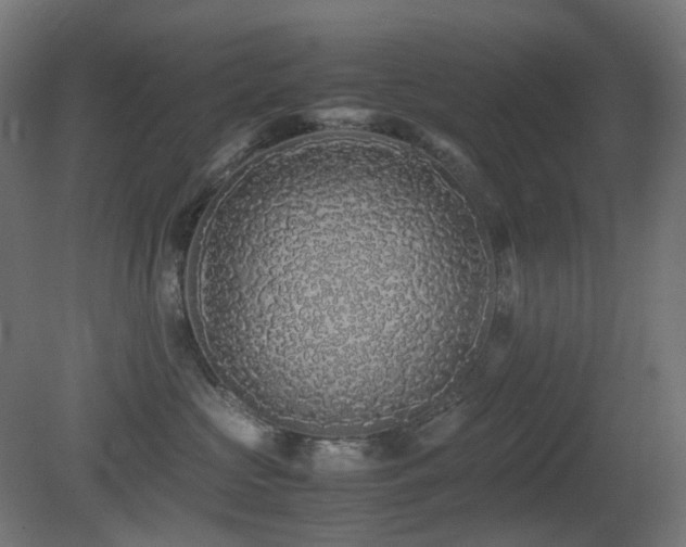 X0000081350573200701111458