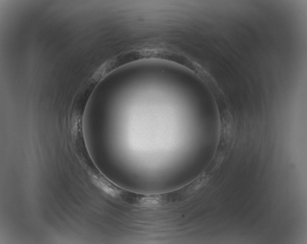 X0000081350574200701111458