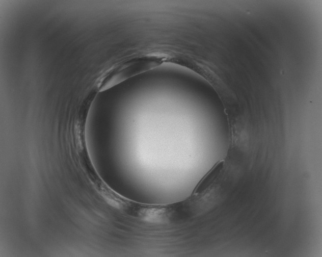 X0000081350575200701111458