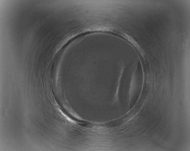 X0000081350577200701111457