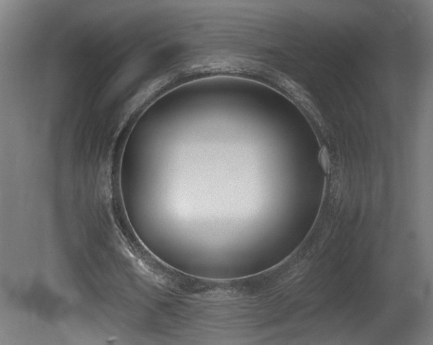 X0000081350578200701111457