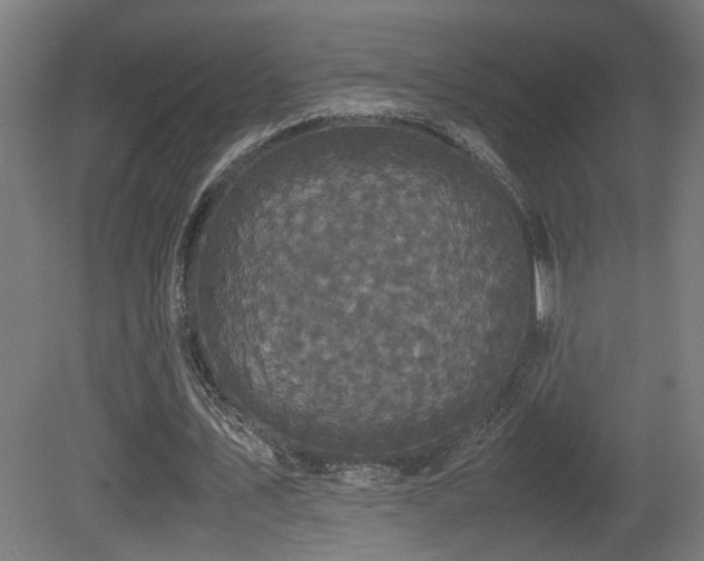 X0000081350579200701111457