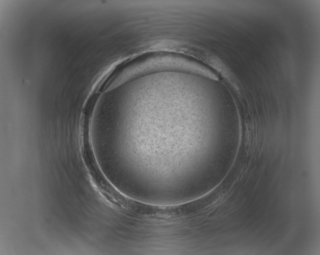 X0000081350580200701111457