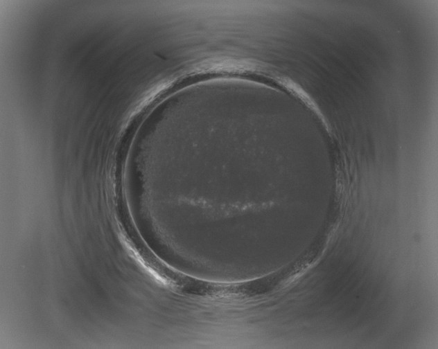 X0000081350581200701111457