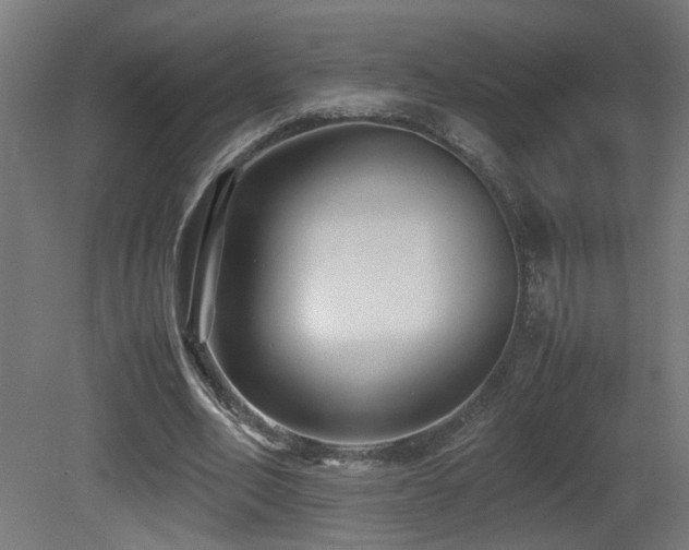 X0000081350582200701111457