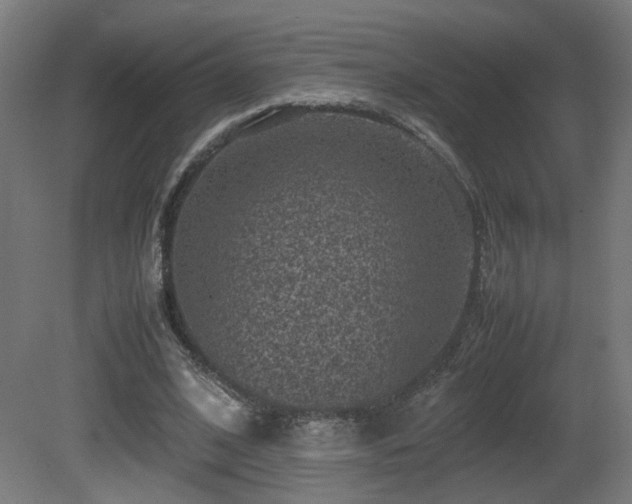 X0000081350584200701111457