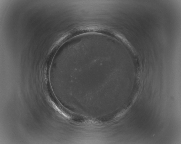 X0000081350585200701111457