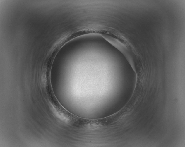X0000081350586200701111457