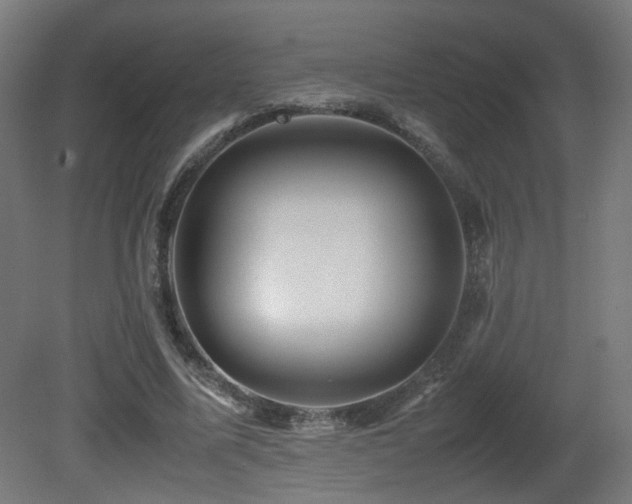 X0000081350587200701111457